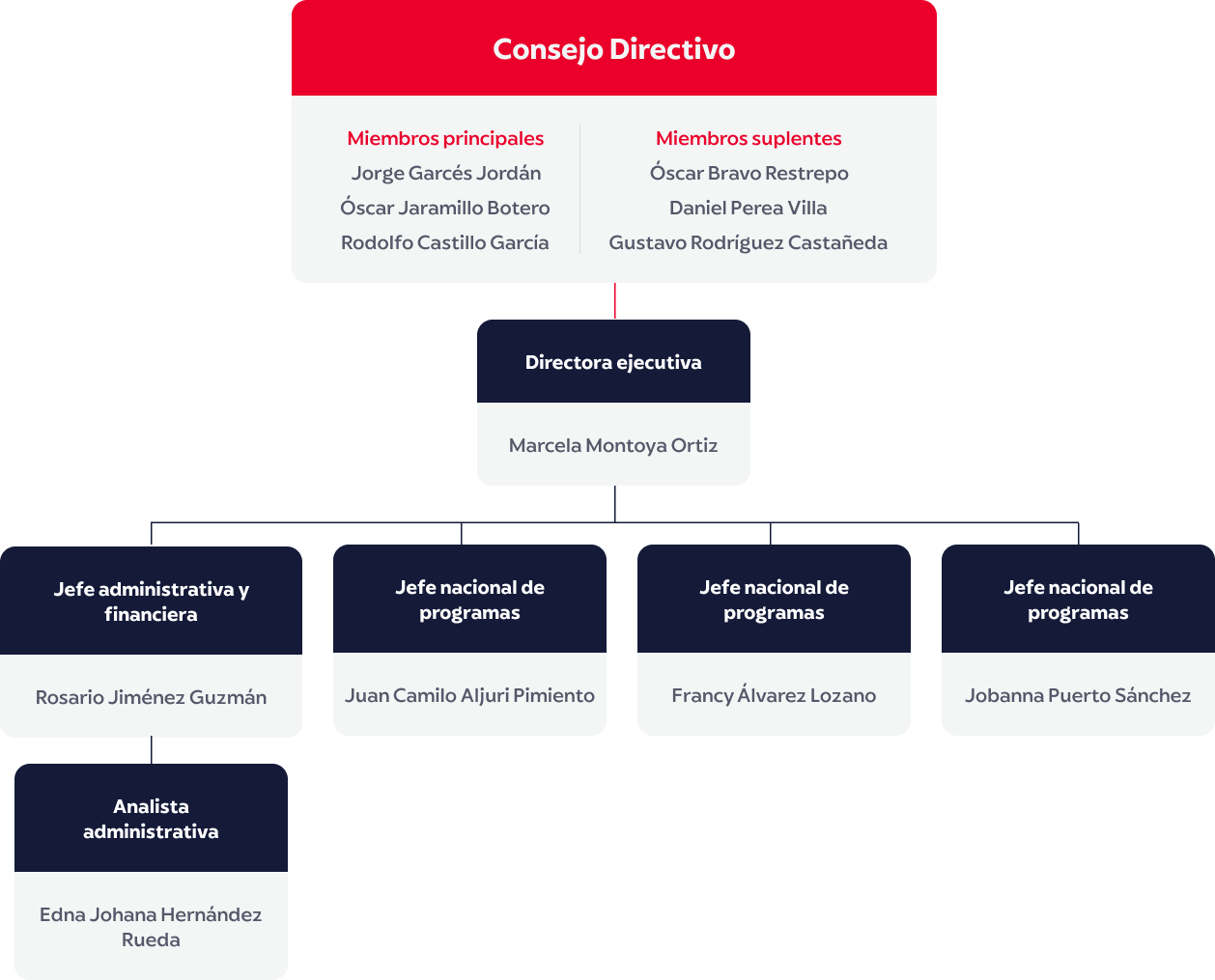 Imagen infografía organigrama